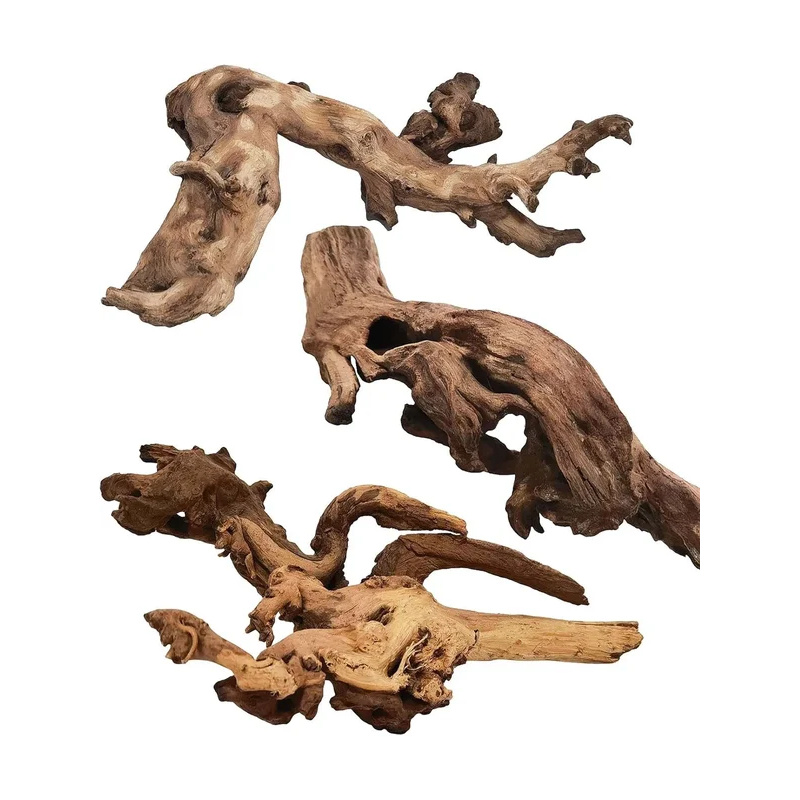 Aquarium Fish For Sale Online - Natural Driftwood for Aquarium Decoration Fish