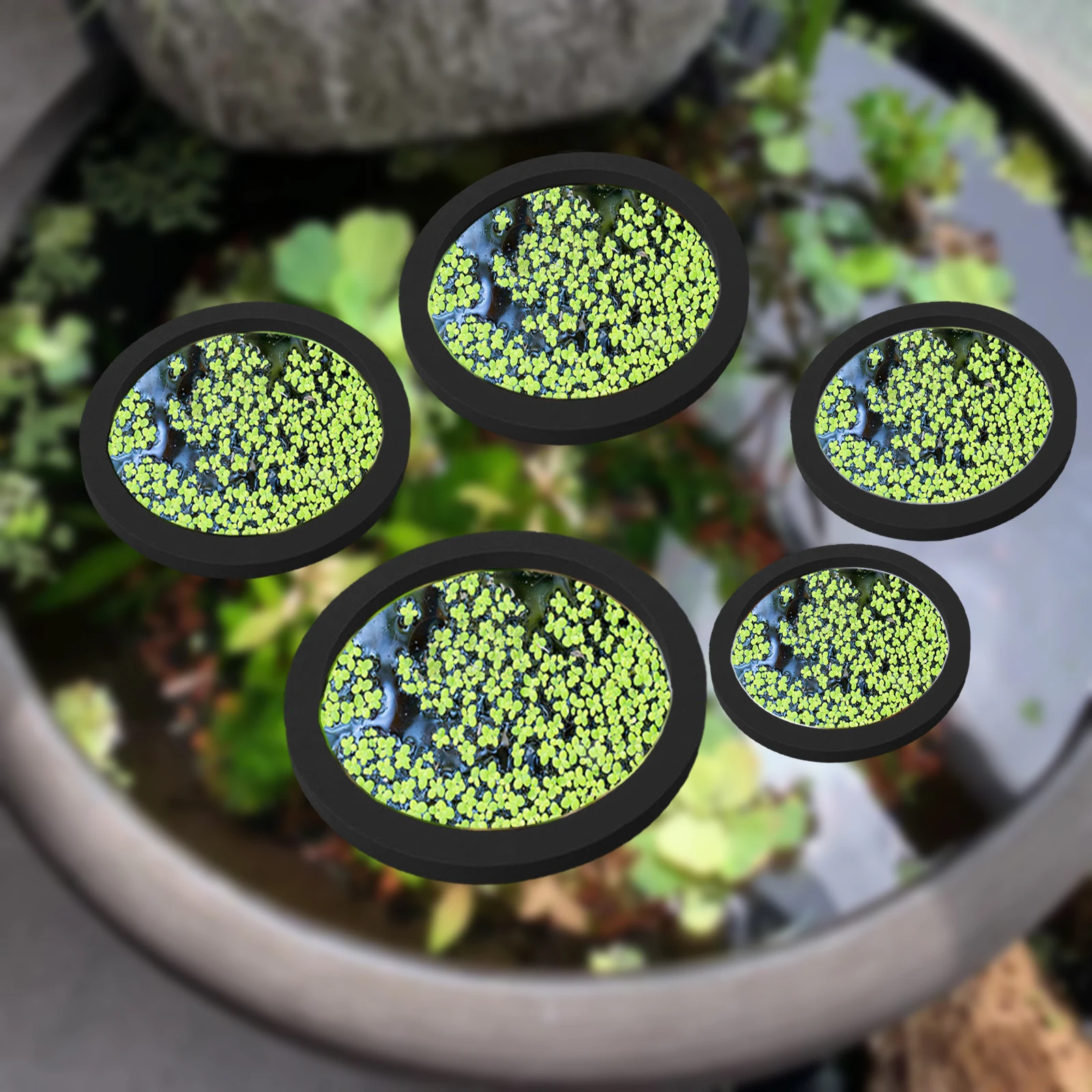 Fish Aquarium Home - 5Pcs EVA Fish Feeding Ring Aquarium