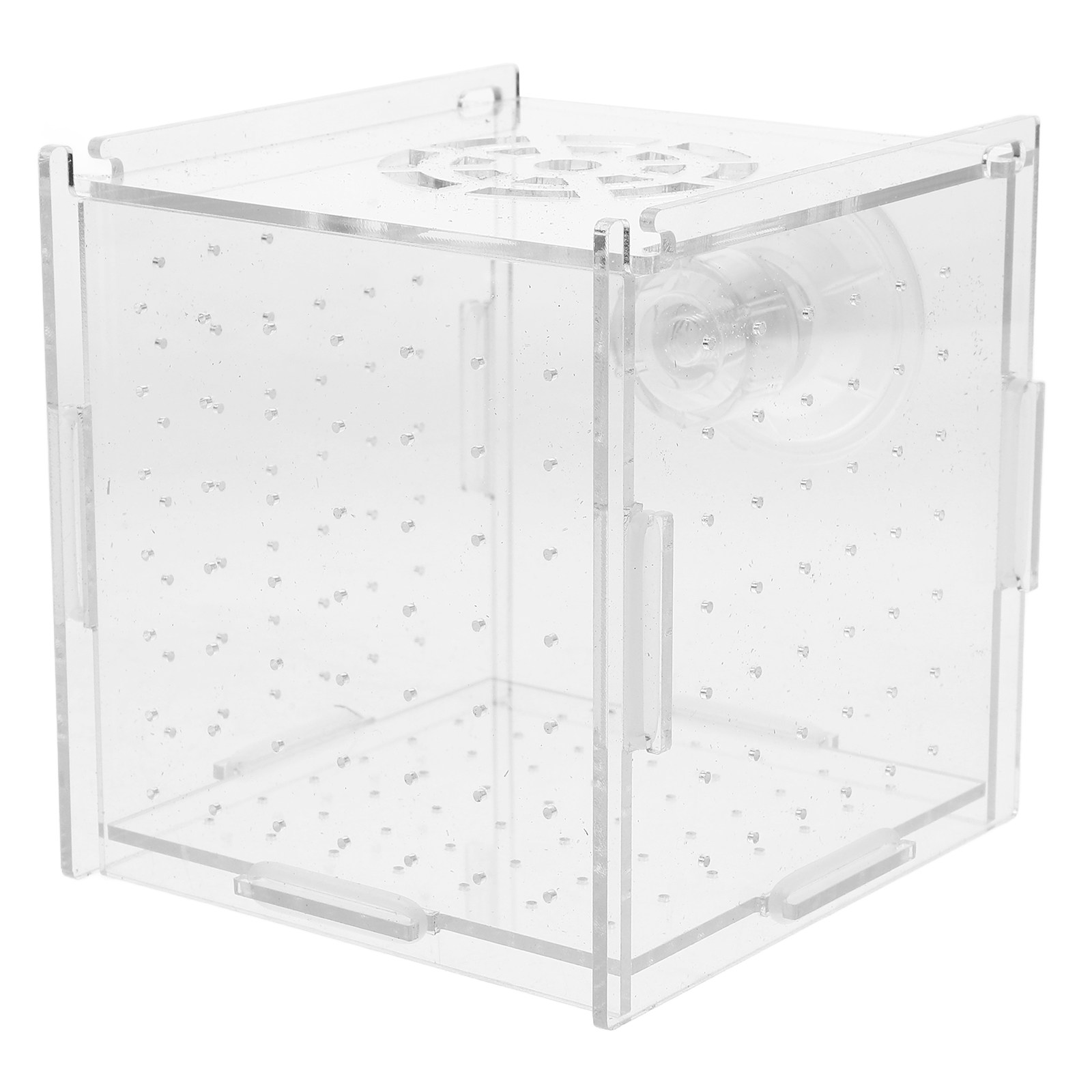 Fish Toy In Aquarium - Fish Breeding Isolation Box Clear Acrylic