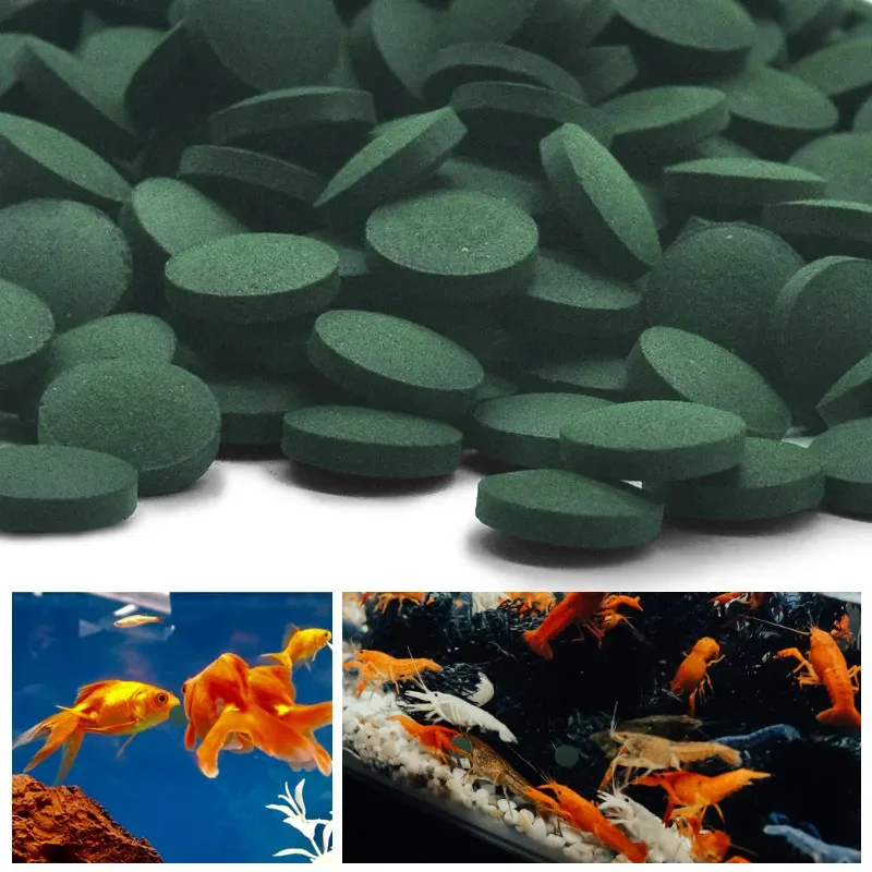 Aquarium Fish In - 50/300pcs High Purity Spirulina Tablets Spiral