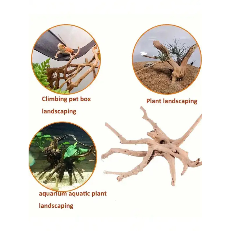 Natural Driftwood for Aquarium - Aquarium Fish For Sale Online ulasan dan harga