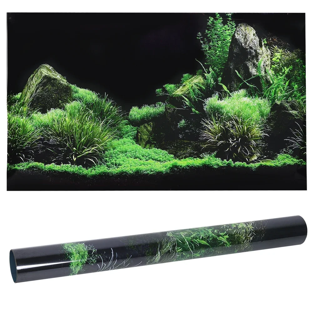 Background for Aquarium 3d Sti - Aquarium Fish For Sale Online ulasan dan harga