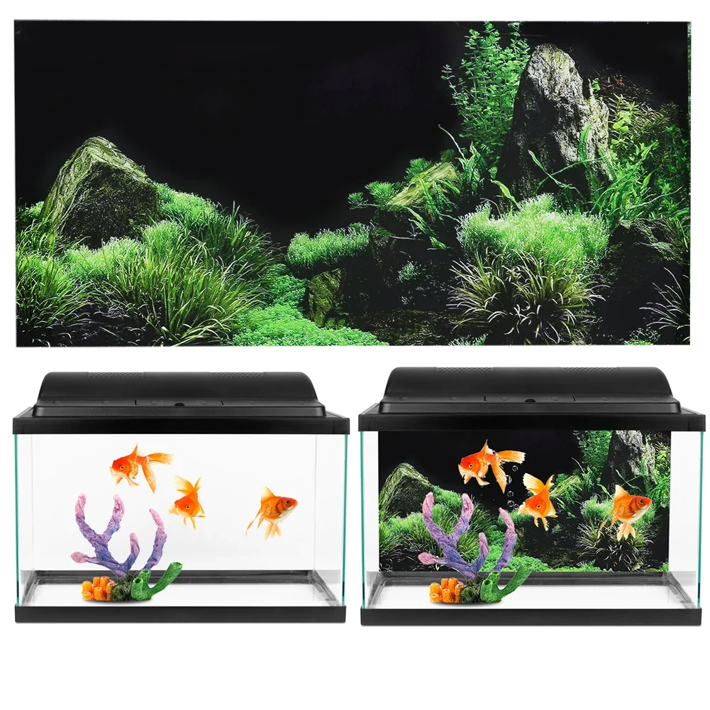 Background for Aquarium 3d Sti - Aquarium Fish For Sale Online ulasan dan harga