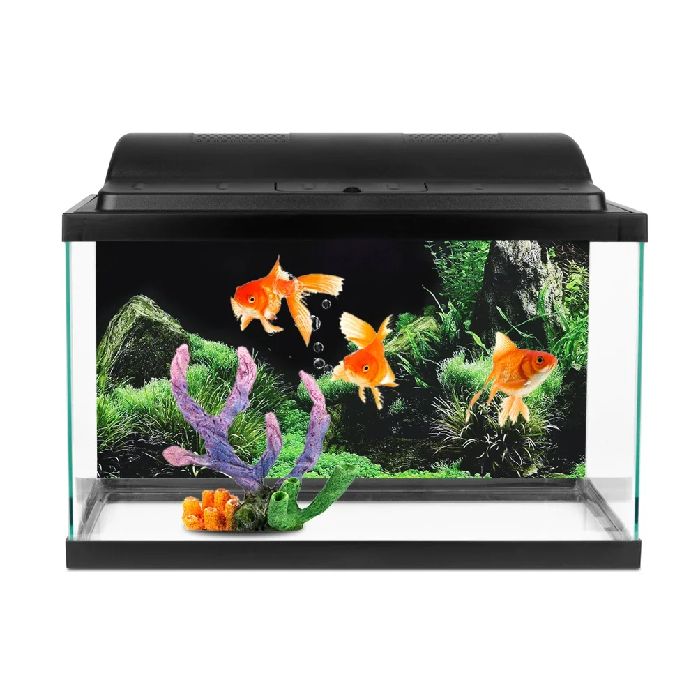 Background for Aquarium 3d Sti - Aquarium Fish For Sale Online ulasan dan harga