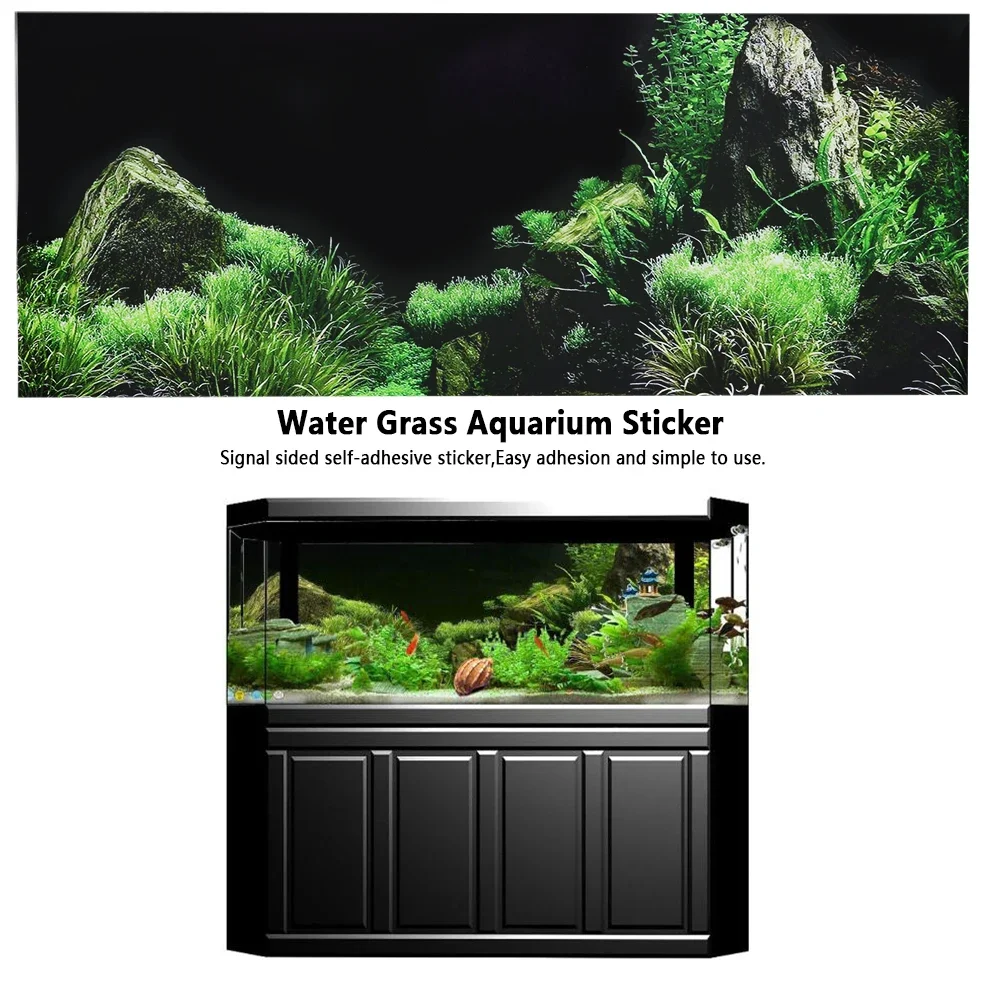 Background for Aquarium 3d Sti - Aquarium Fish For Sale Online ulasan dan harga