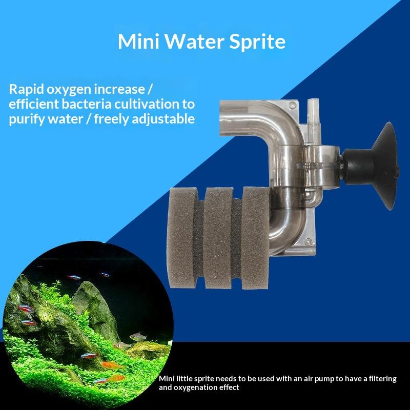 .Hot Sale-Mini Aquarium Sponge - Aquarium Fish For Sale Online ulasan dan harga