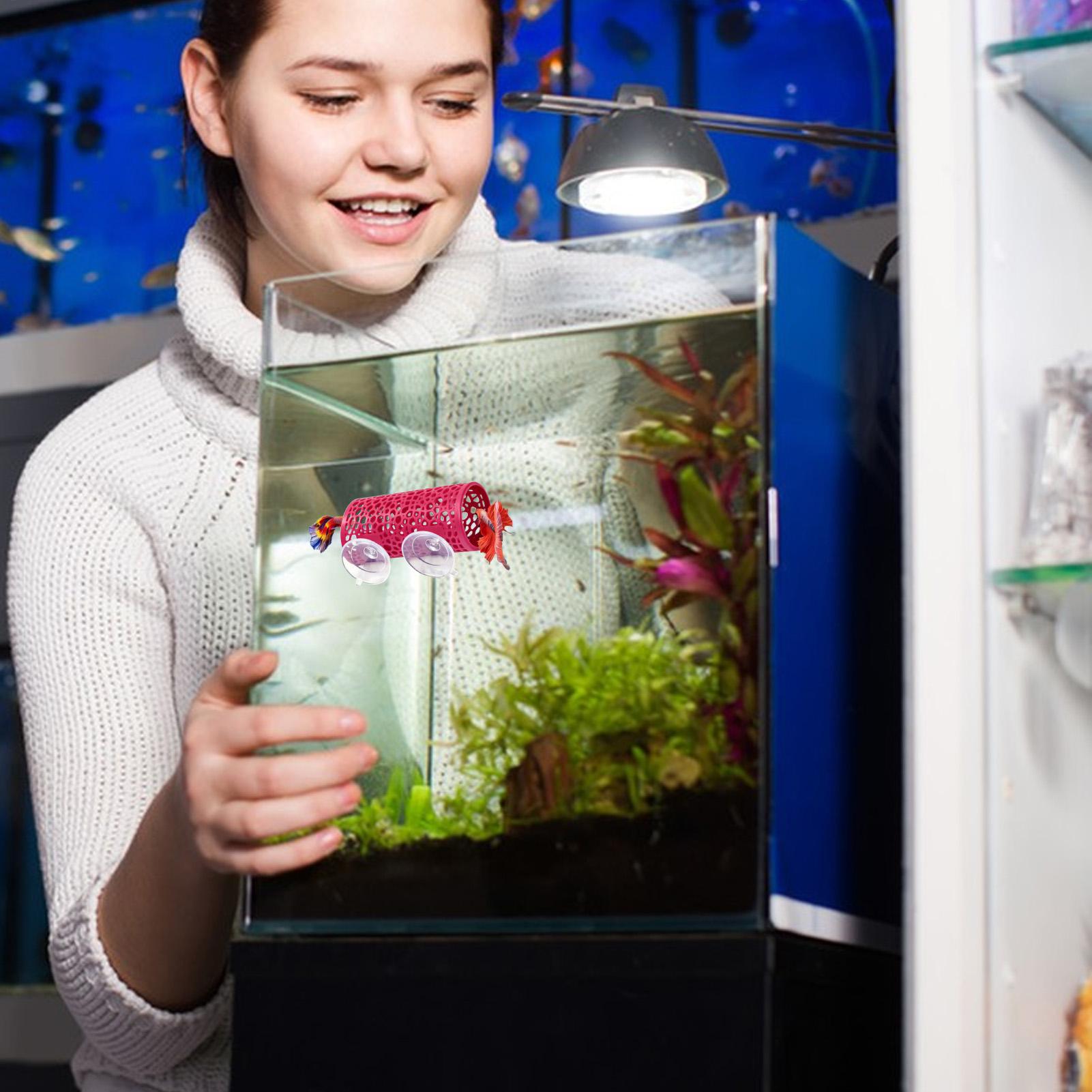 Betta Habitat Resting Shelter  - Fish Toy In Aquarium ulasan dan harga