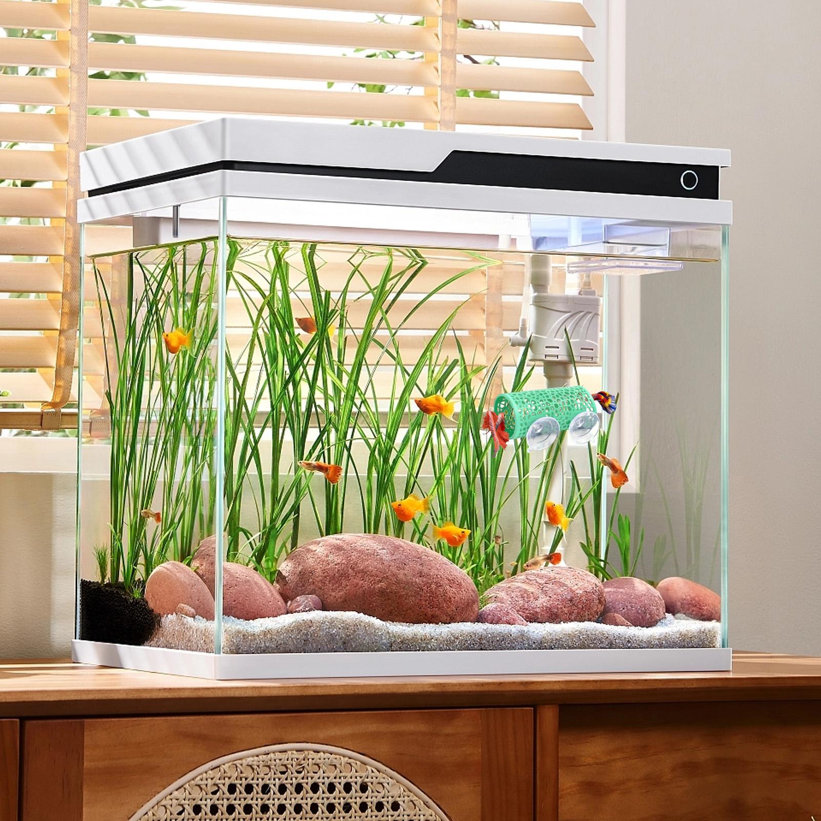 Betta Habitat Resting Shelter  - Fish Toy In Aquarium ulasan dan harga