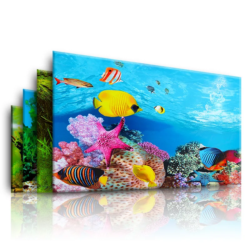 Background for Aquarium 3d  St - Aquarium Fish For Sale Online ulasan dan harga