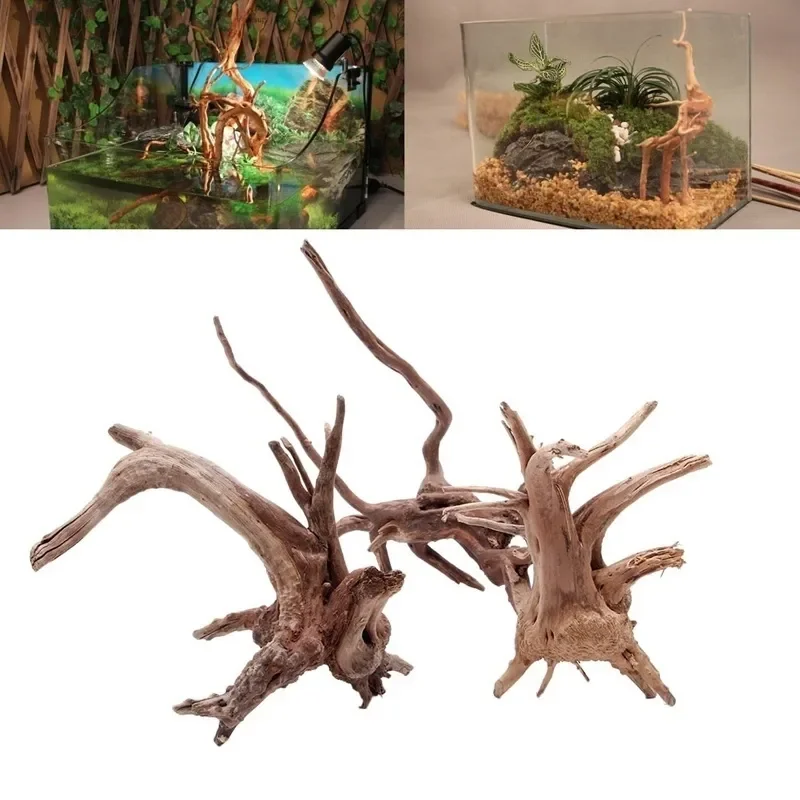 Natural Tree Trunk Driftwood A - Aquarium Fish For Sale Online ulasan dan harga