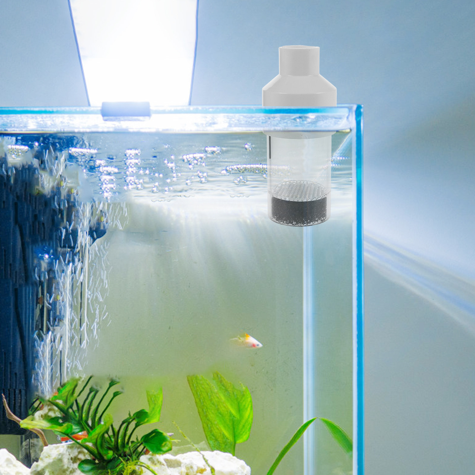 Fish Hatchery Incubator 50mm A - Aquarium Fish In ulasan dan harga