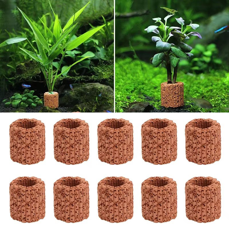 Aquatic Plant Fixed Ring for A - Aquarium Fish For Sale Online ulasan dan harga