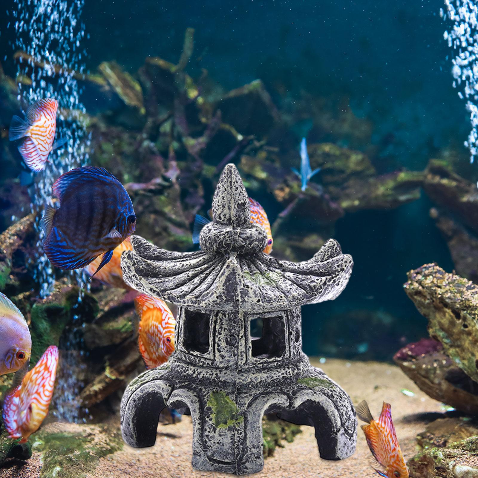 Aquarium Ornament Aquarium Acc - Aquarium Fish For Sale Online ulasan dan harga