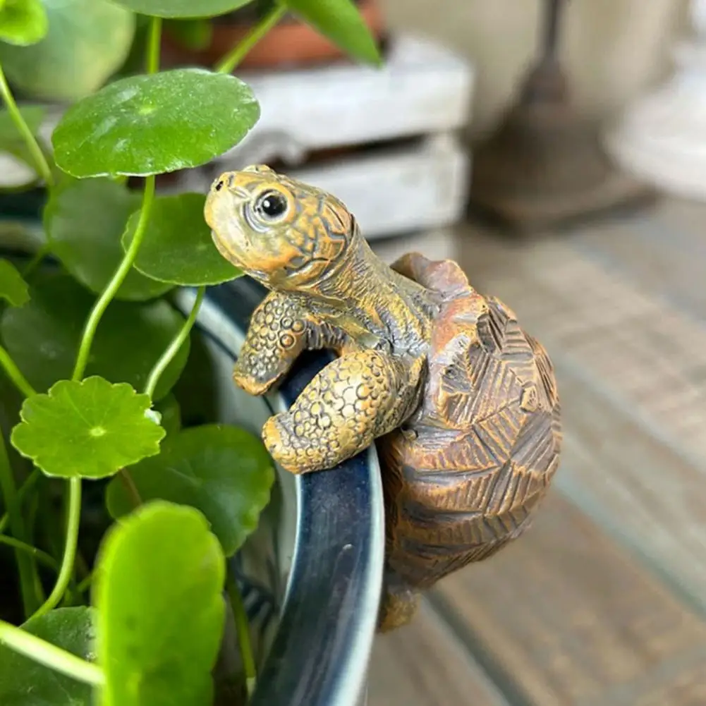 Fishing Turtle Hanging Turtle  - Aquarium Fish In ulasan dan harga