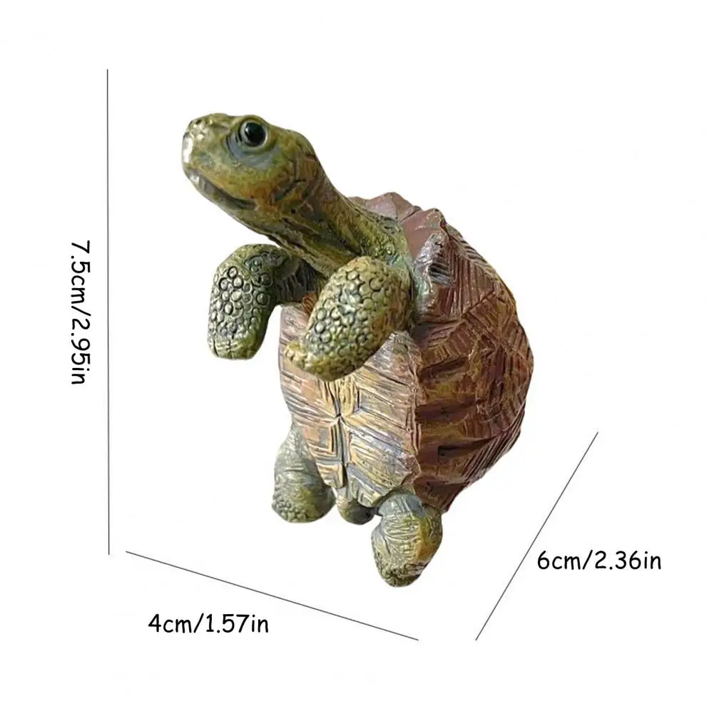 Fishing Turtle Hanging Turtle  - Aquarium Fish In ulasan dan harga