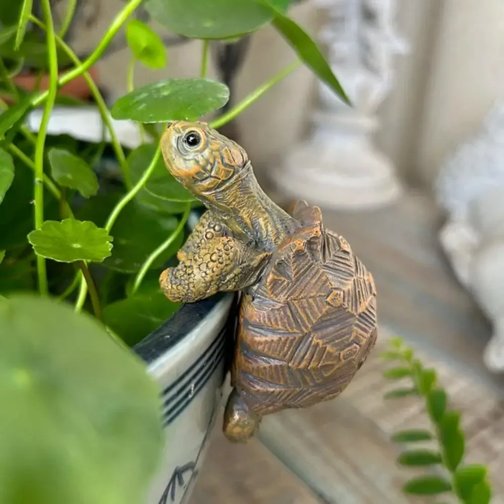 Fishing Turtle Hanging Turtle  - Aquarium Fish In ulasan dan harga
