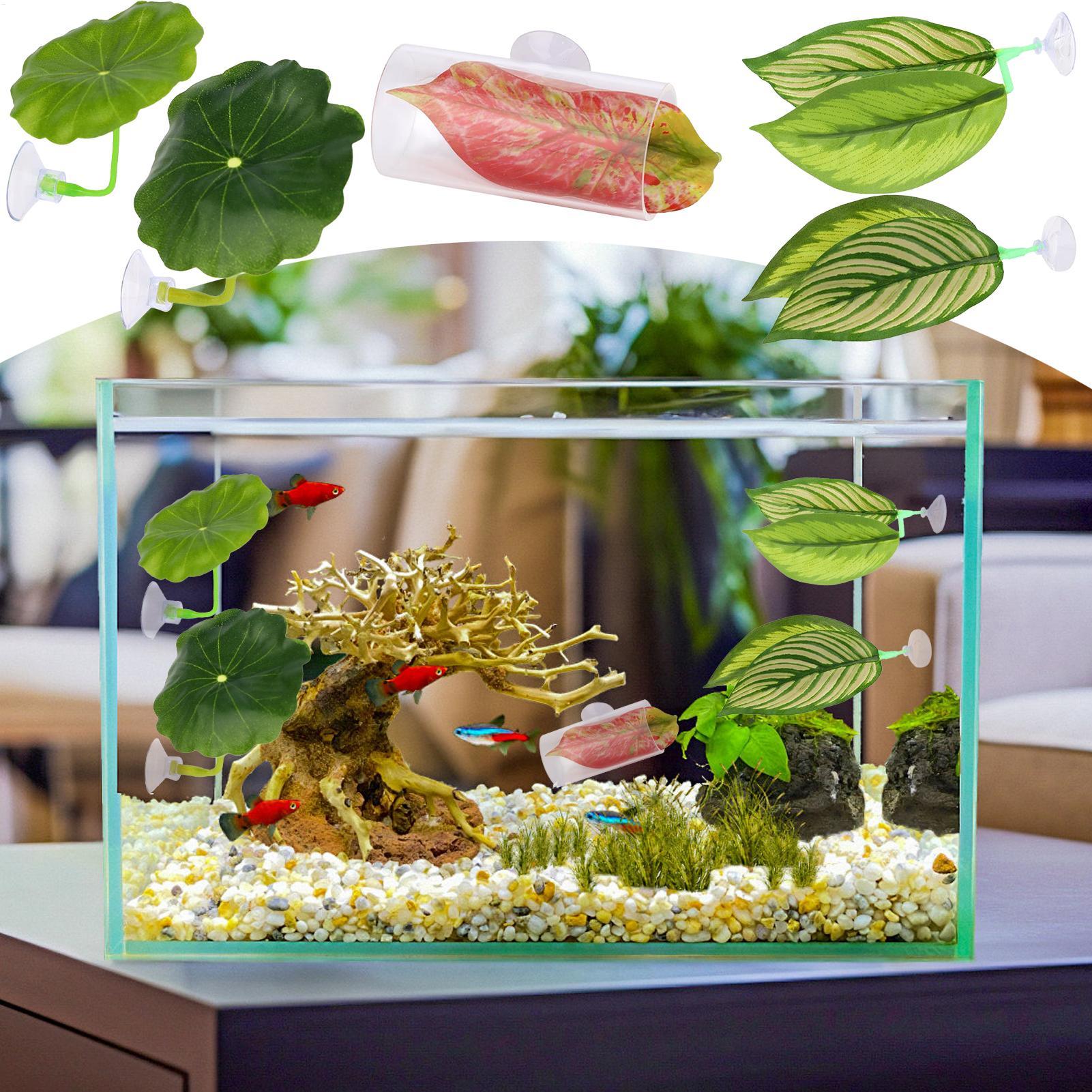 Betta Fish Hammock 5 Pieces Ad - Fish Toy In Aquarium ulasan dan harga