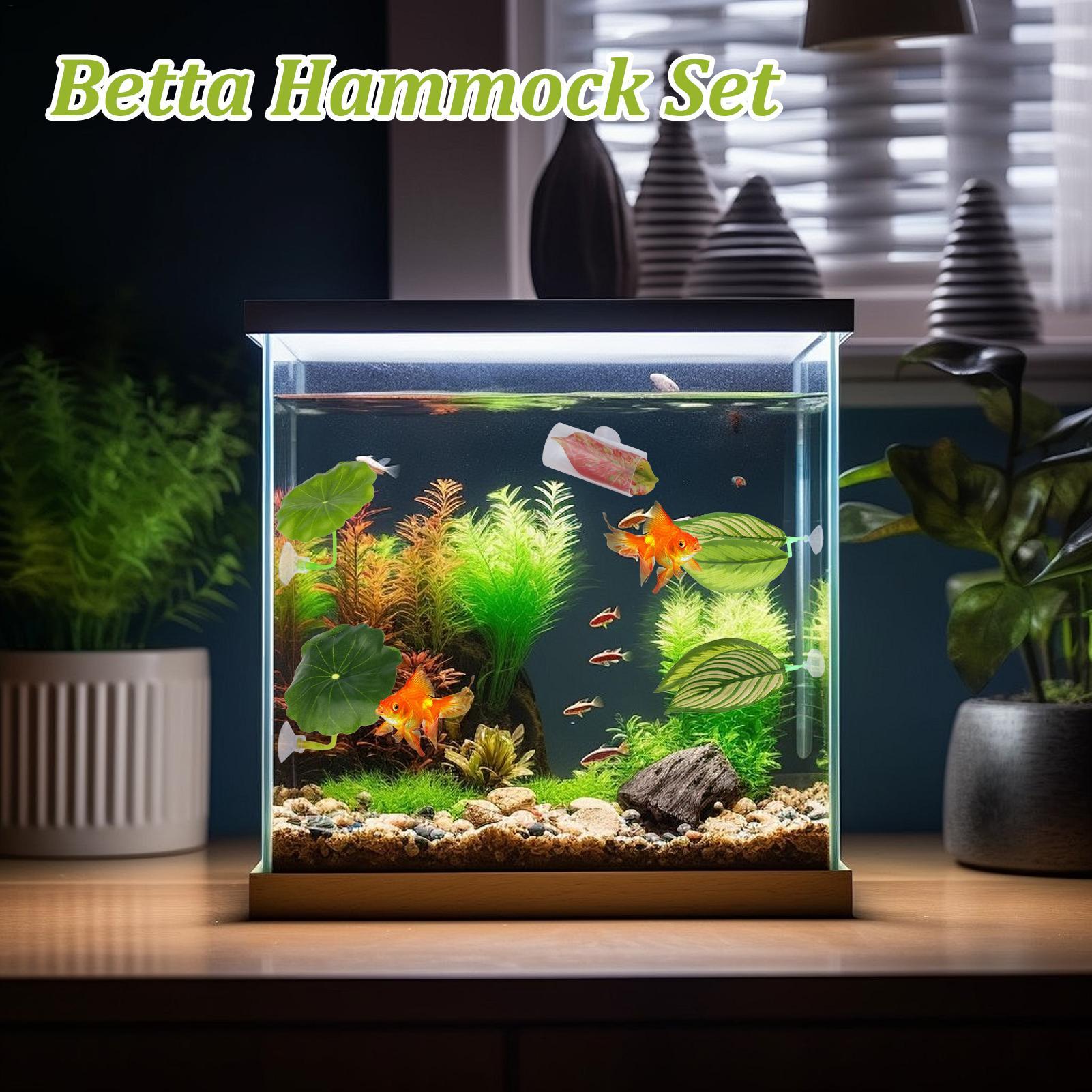 Betta Fish Hammock 5 Pieces Ad - Fish Toy In Aquarium ulasan dan harga