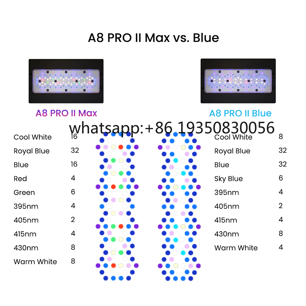 2026-A8 PRO II Max and Blue 24 - Aquarium Fish In ulasan dan harga