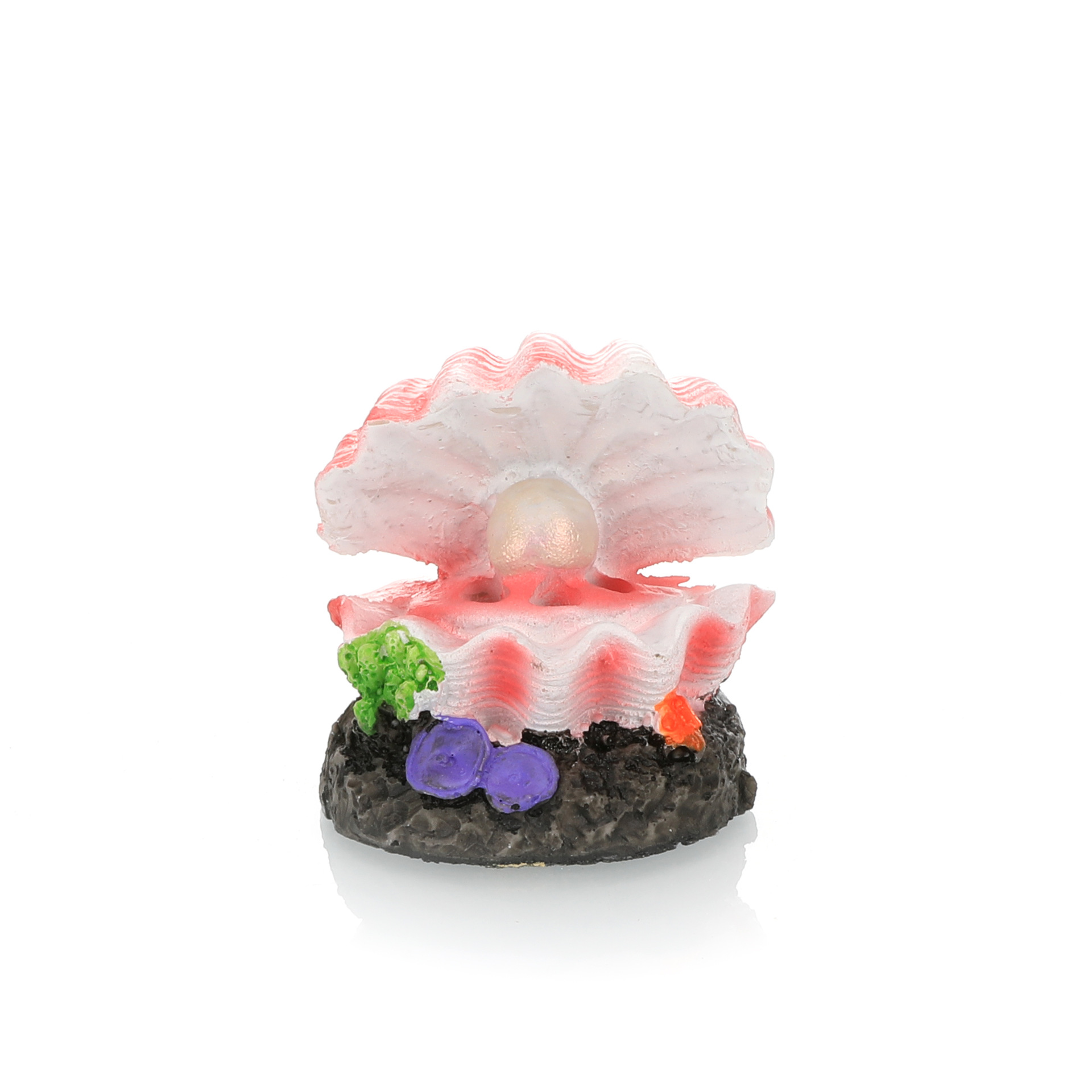 Fish Tank Landscaping Simulati - Aquarium Fish For Sale Online ulasan dan harga