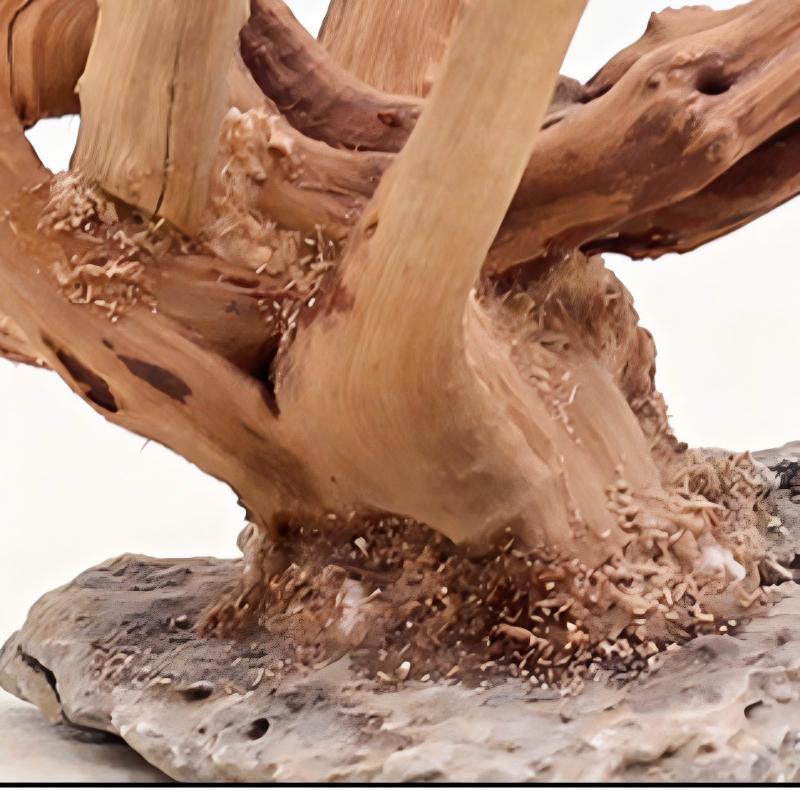 1PC Aquarium Landscaping Wood  - Aquarium Fish For Sale Online ulasan dan harga