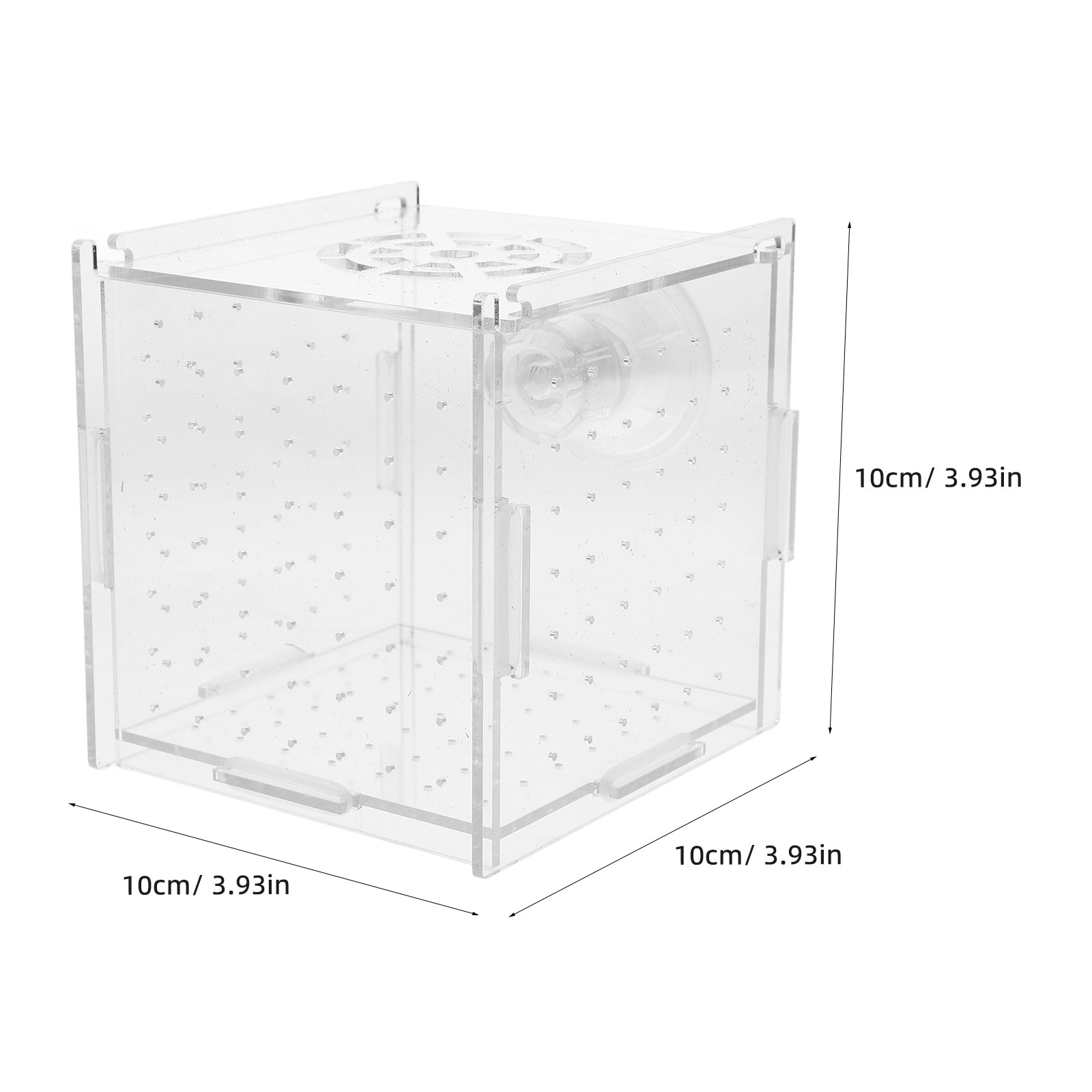 Fish Breeding Isolation Box Cl - Fish Toy In Aquarium ulasan dan harga