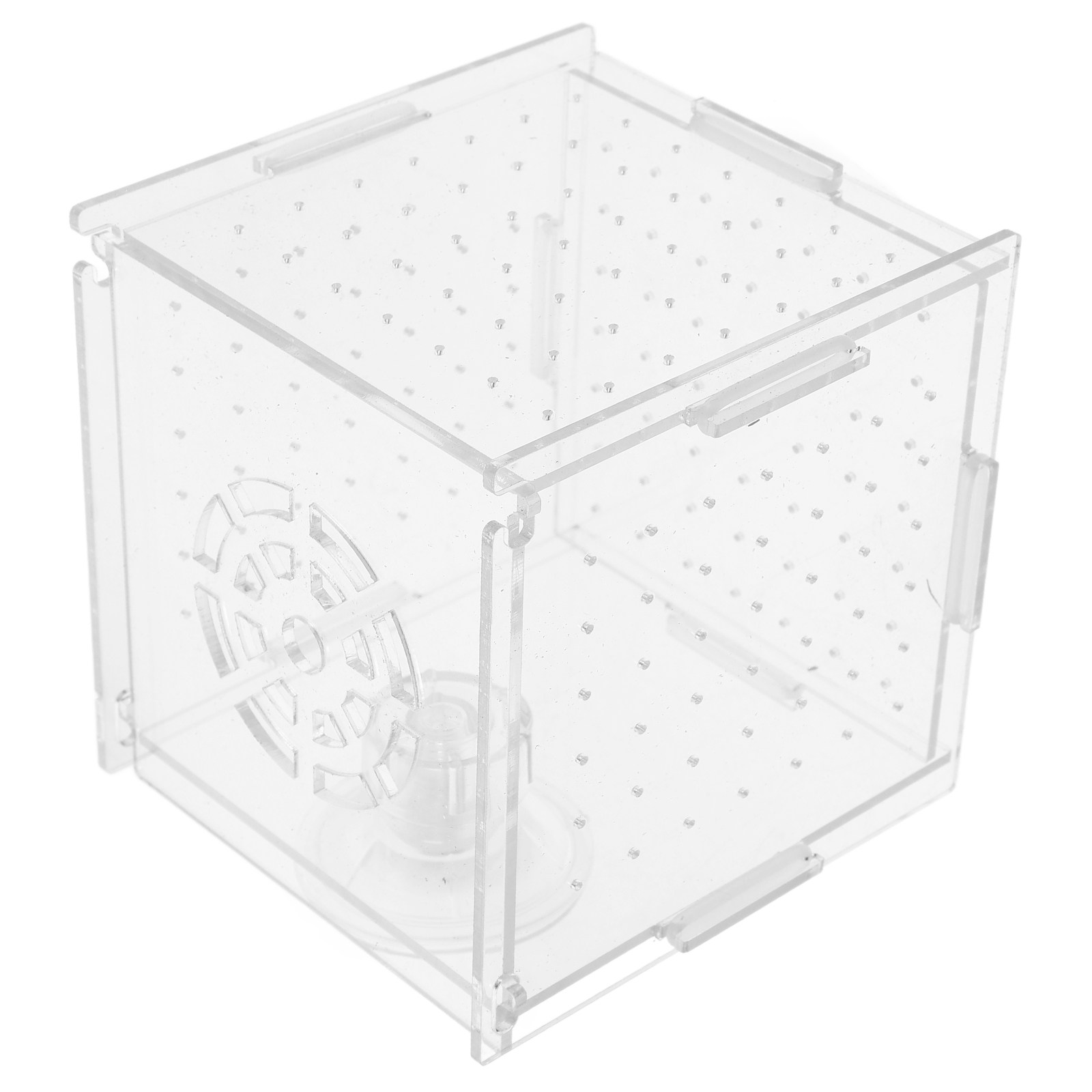 Fish Breeding Isolation Box Cl - Fish Toy In Aquarium ulasan dan harga
