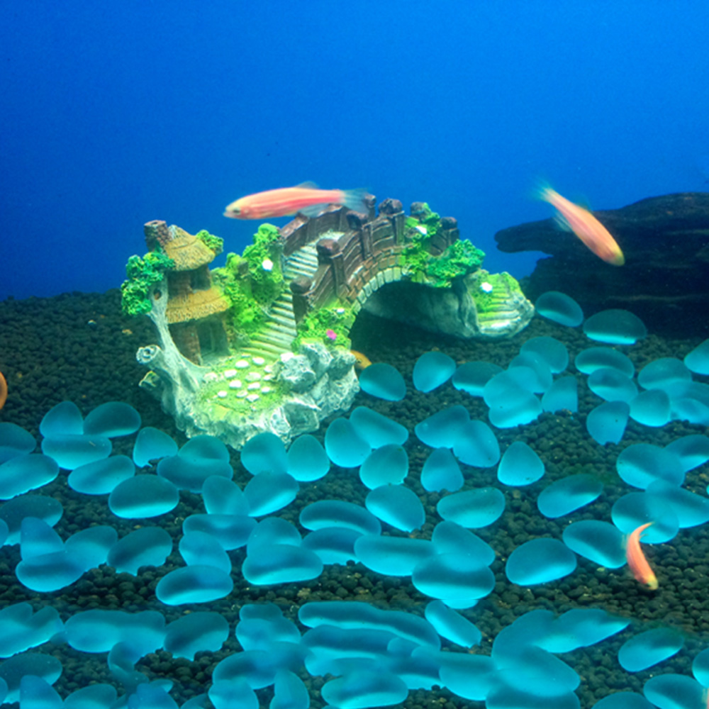 Aquarium Accessories Arbor Tre - Aquarium Fish For Sale Online ulasan dan harga