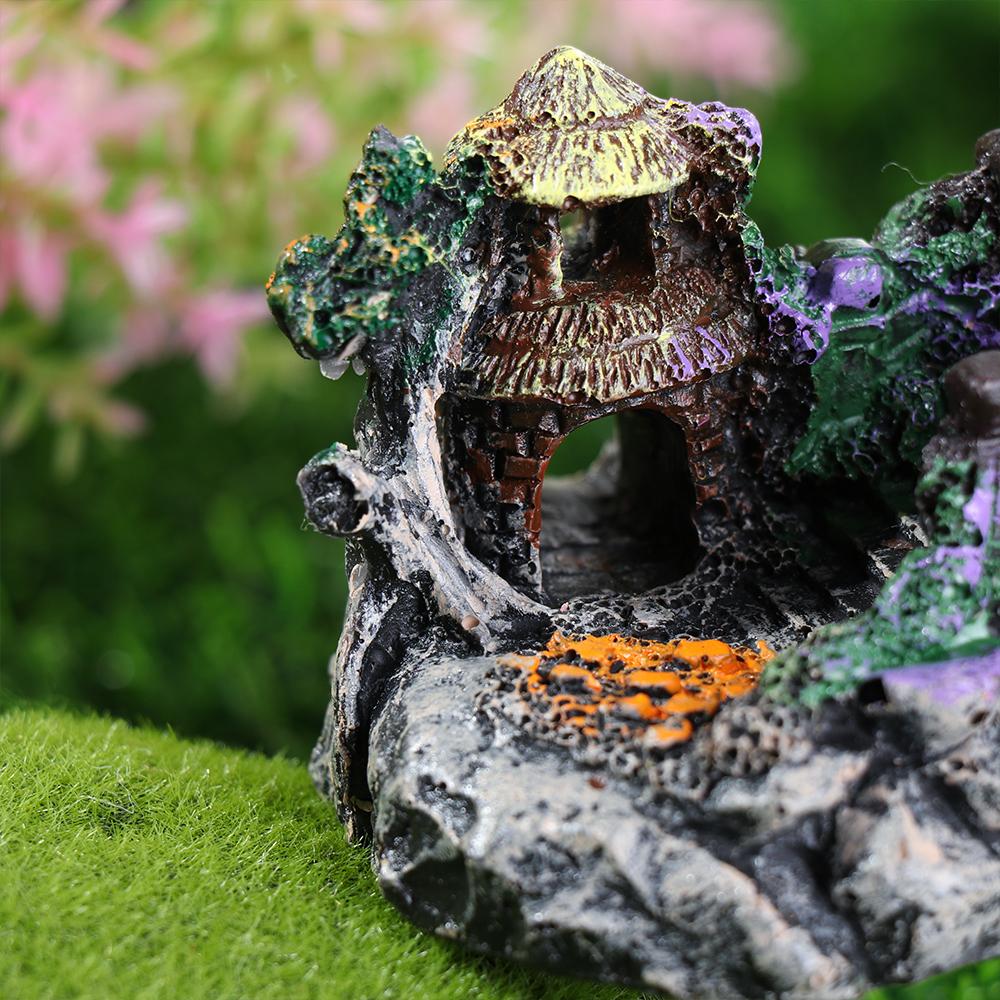 Aquarium Accessories Arbor Tre - Aquarium Fish For Sale Online ulasan dan harga