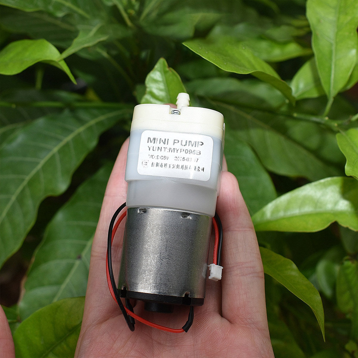 Mini 528 Air Pump DC 3.7V 5V 6 - Aquarium Fish Big ulasan dan harga