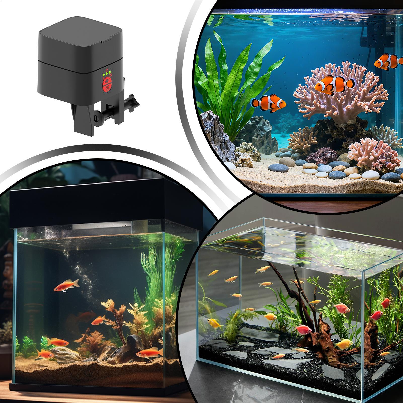 Auto Fish Feeder For Aquarium  - Fish Toy In Aquarium ulasan dan harga