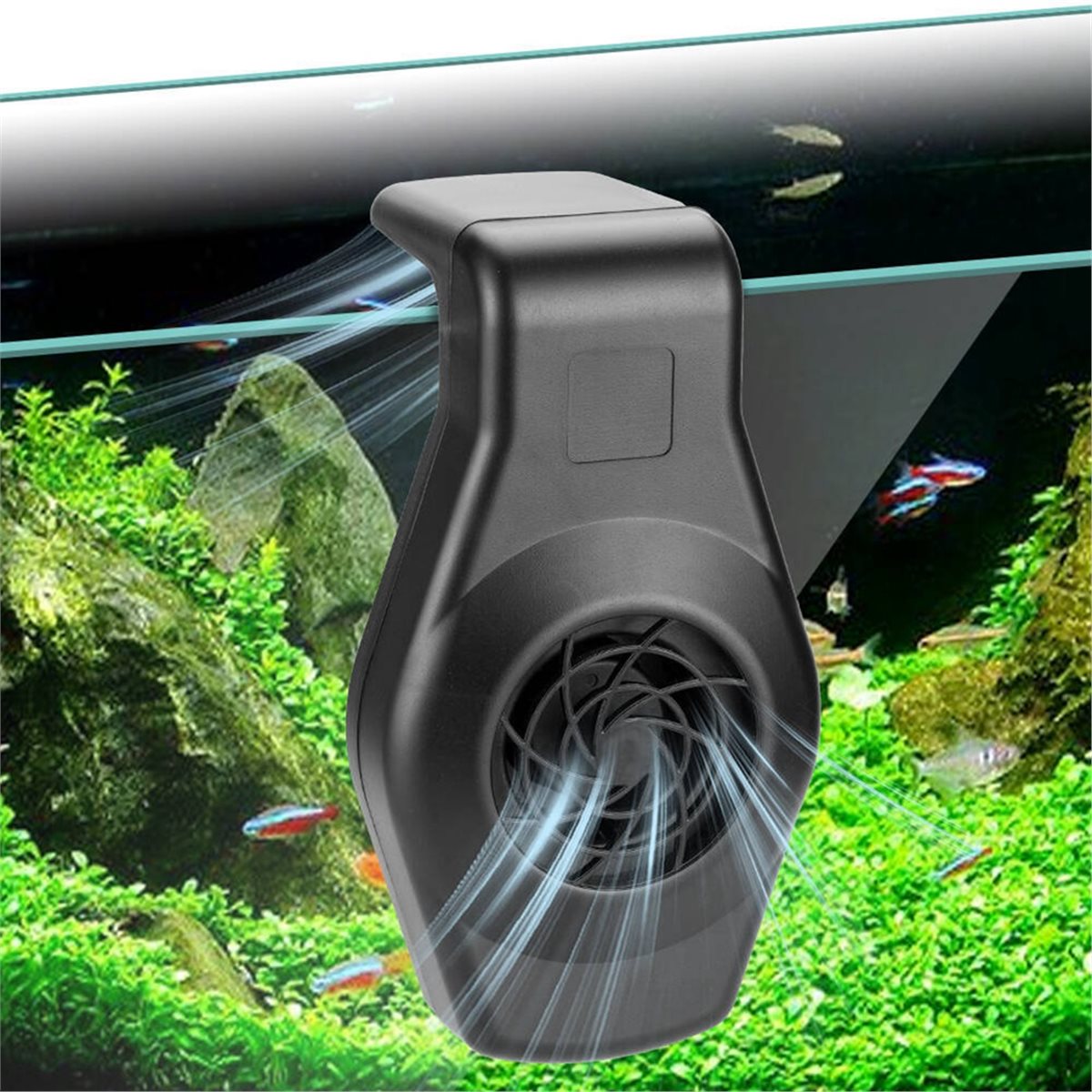 Big Discount Mini Aquarium Chi - Aquarium Fish Big ulasan dan harga