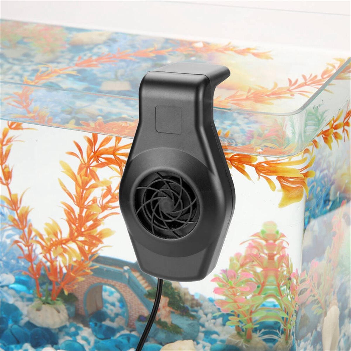 Big Discount Mini Aquarium Chi - Aquarium Fish Big ulasan dan harga