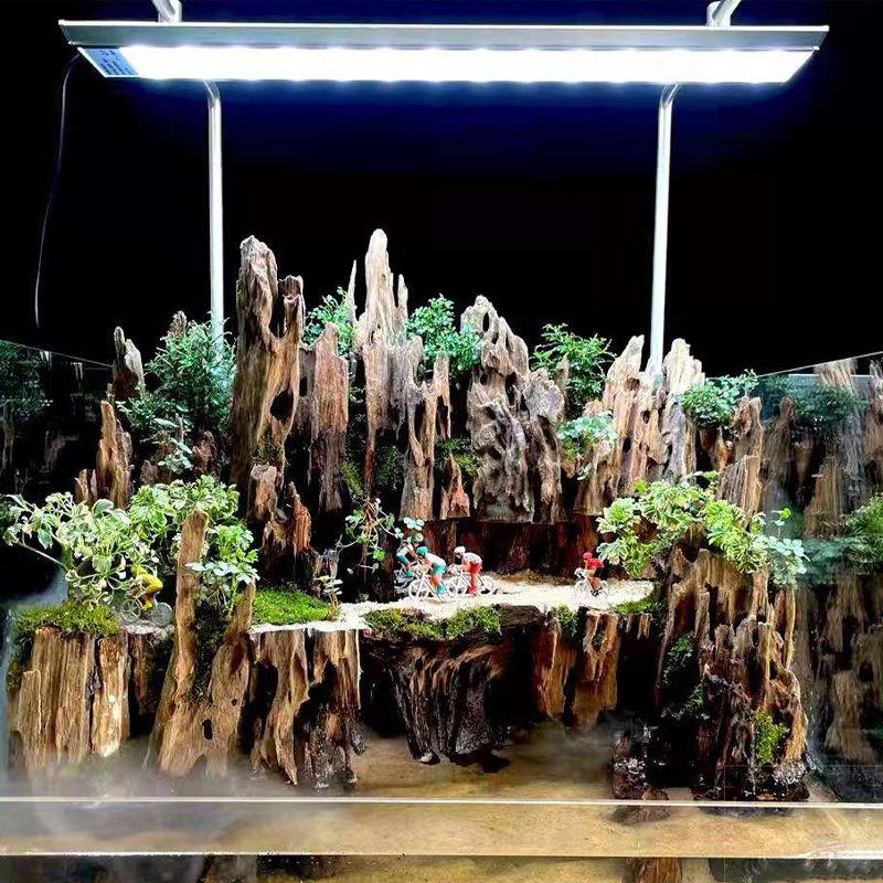 △ Shrimp Wood Aquarium Decor,  - Aquarium Fish For Sale Online ulasan dan harga