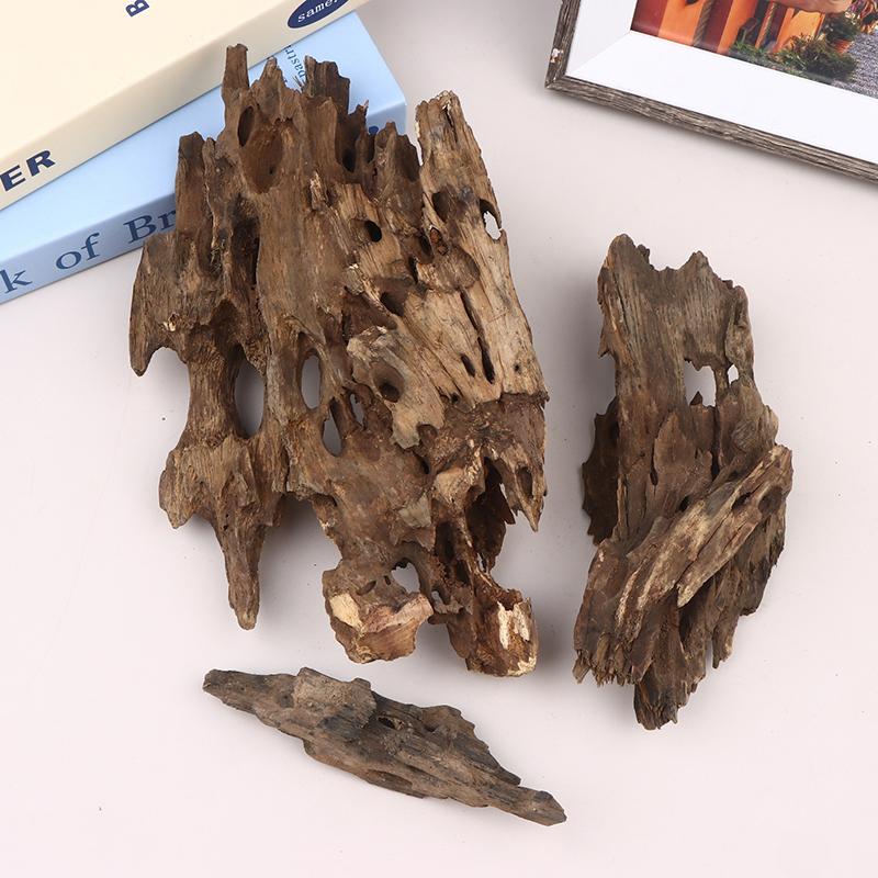 △ Shrimp Wood Aquarium Decor,  - Aquarium Fish For Sale Online ulasan dan harga