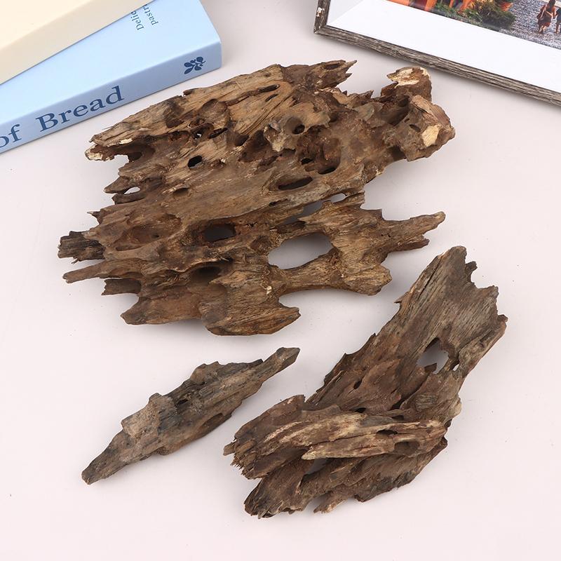 △ Shrimp Wood Aquarium Decor,  - Aquarium Fish For Sale Online ulasan dan harga